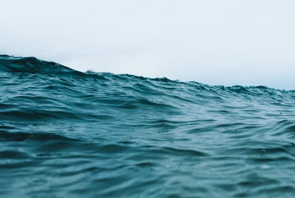 Communication in crisis – Photo by <a href="https://unsplash.com/@thierrymeier?utm_source=unsplash&utm_medium=referral&utm_content=creditCopyText">Thierry Meier</a> on <a href="https://unsplash.com/s/photos/sea?utm_source=unsplash&utm_medium=referral&utm_content=creditCopyText">Unsplash</a>